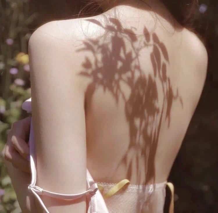 体育竞技:王者荣耀之巅峰对决